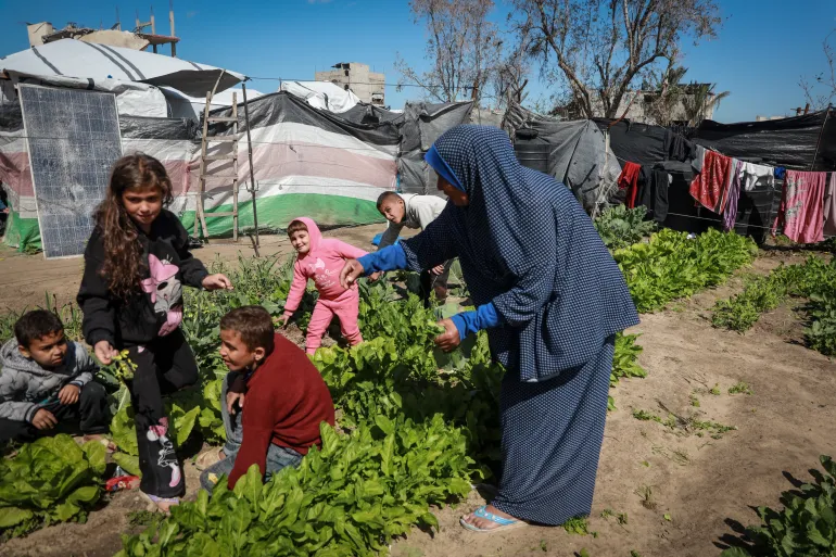 Sousan travaille avec ses petits-enfants pour cultiver ses terres restantes, un acte qu'elle considère comme une résistance et une survie quotidienne, reflétant son attachement à ces terres.