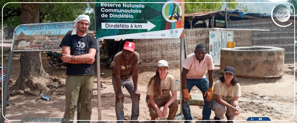 Des flammes consument la réserve naturelle de Dindéfélo, les chimpanzés, les oiseaux et la flore en danger