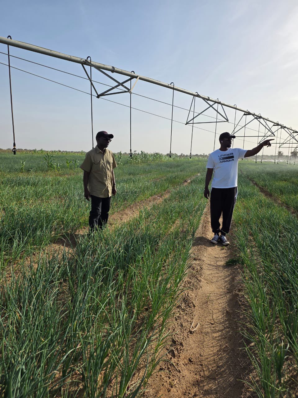 - Senenews - Actualité au Sénégal, Politique, Économie, Sport