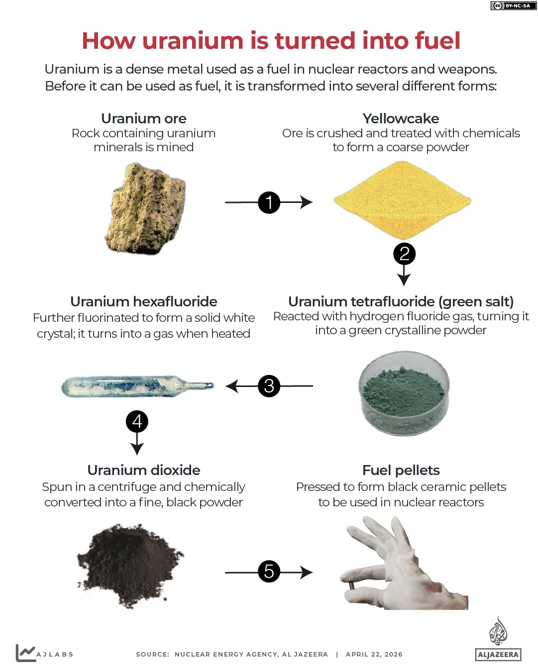 INTERACTIVE How uranium turns into fuel nuclear reactor-1776853142