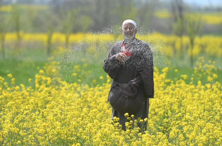 Agriculteurs sud-africains