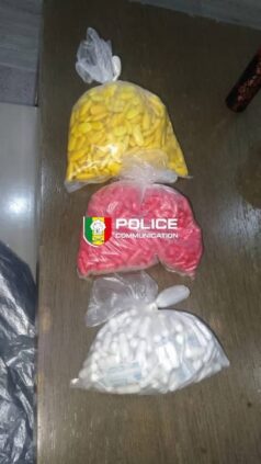 pions - Senenews - Actualité au Sénégal, Politique, Économie, Sport