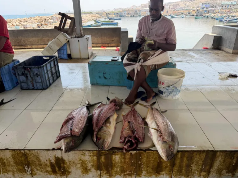 Un vendeur de poisson compte son argent au marché aux poissons de Mukalla, où les prix devraient être sous pression car les pêcheurs déclarent qu'ils dépensent davantage en carburant pour les sorties de pêche. 
