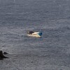 Un bateau « cayuco » avec 57 migrants à bord arrive au port de La Restinga, sur l'île canarienne d'El Hierro, le 14 septembre 2024.