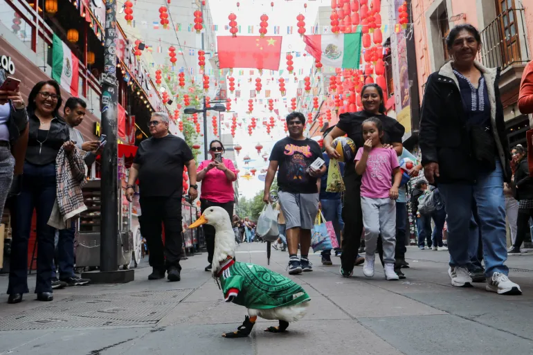 Merlin, un canard portant un maillot de l'équipe nationale de football du Mexique (« El Tri »), qui est devenu célèbre après une rencontre fortuite sur l'avenue Reforma est devenu viral à la suite du match FIFA 2026 entre le Mexique et l'Afrique du Sud, se promène dans le quartier chinois de Mexico, Mexique, le 16 juin 2026. REUTERS/Paola Garcia REFILE - IMAGES TPX RÉPÉTITION DE QUALITÉ DU JOUR