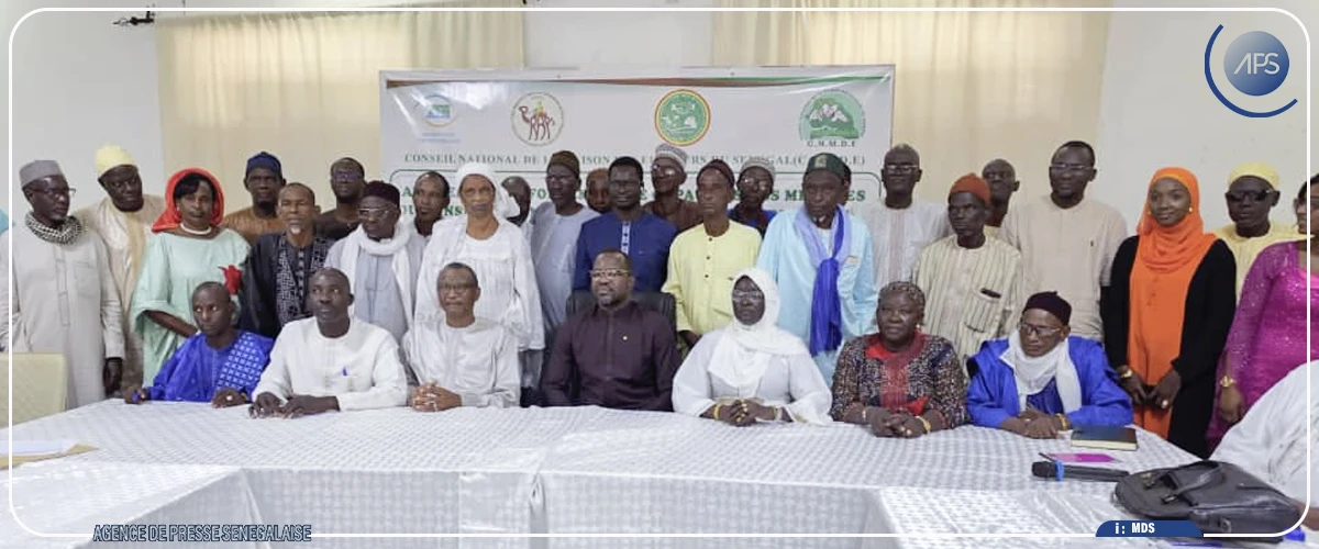 Ousmane Diagne souligne la nécessité de renforcer les organisations faîtières
