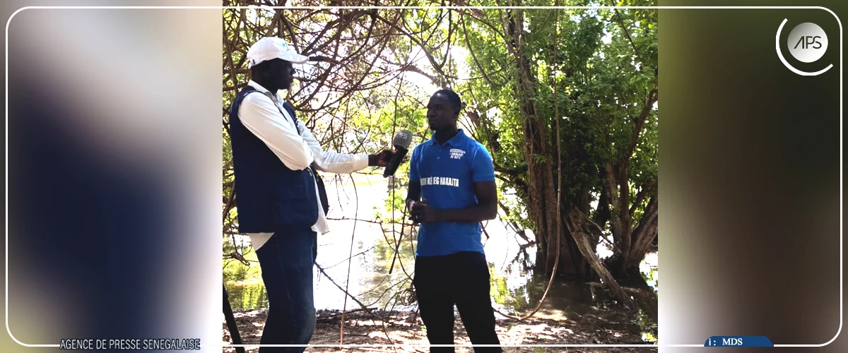 Kaffrine: la mare sacrée de Deeg Boye, un site mythique de Gniby en quête de valorisation