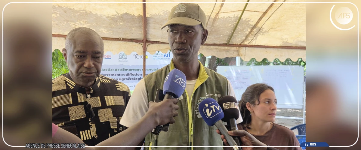 A Keur Demba Ngoye, des femmes apprennent l’agroécologie, grâce à un projet de 281 millions FCFA